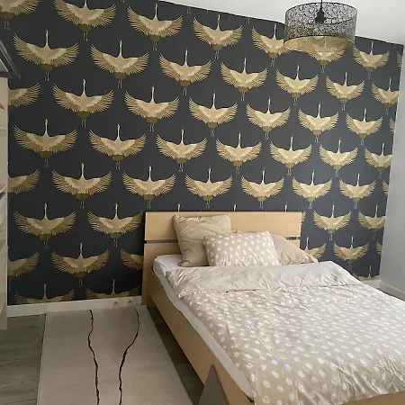 Appartement T2 Renove Avec Balcon Et Parking Daire