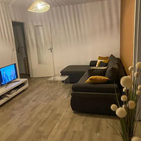 Appartement T2 Renove Avec Balcon Et Parking Daire Metz