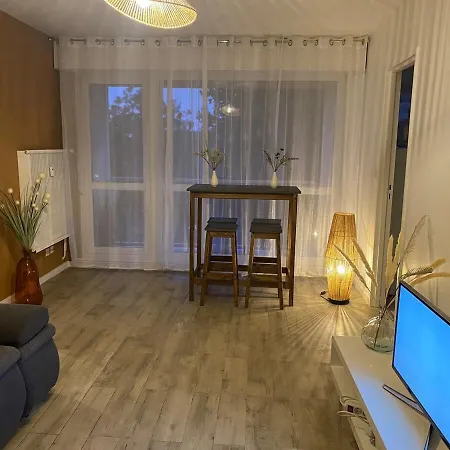 Appartement T2 Renove Avec Balcon Et Parking * Metz