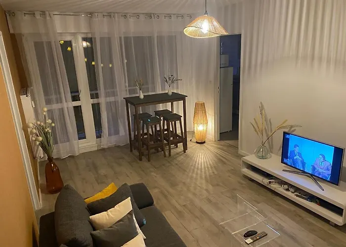 Appartement T2 Renove Avec Balcon Et Parking