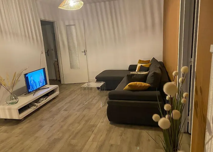 Appartement T2 Renove Avec Balcon Et Parking Daire Metz