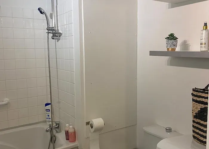 Appartement T2 Renove Avec Balcon Et Parking Metz