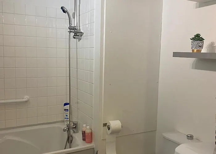 Daire Appartement T2 Renove Avec Balcon Et Parking Metz